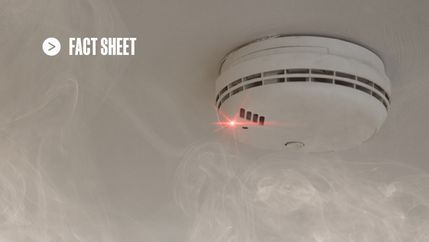 FS Smoke alarm with rising smoke.jpg